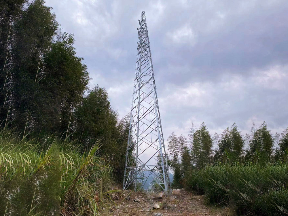 Fuzhou Electric Wire High Voltage Tower Design and Construction Project